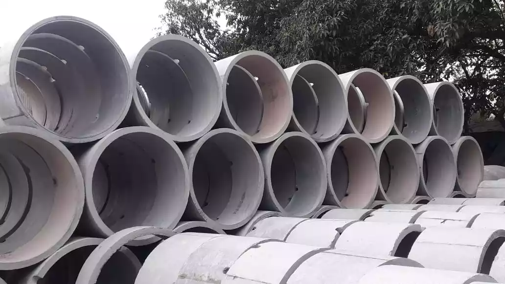 WhatsApp Image 2025-11-25 at 7.37.45 PM