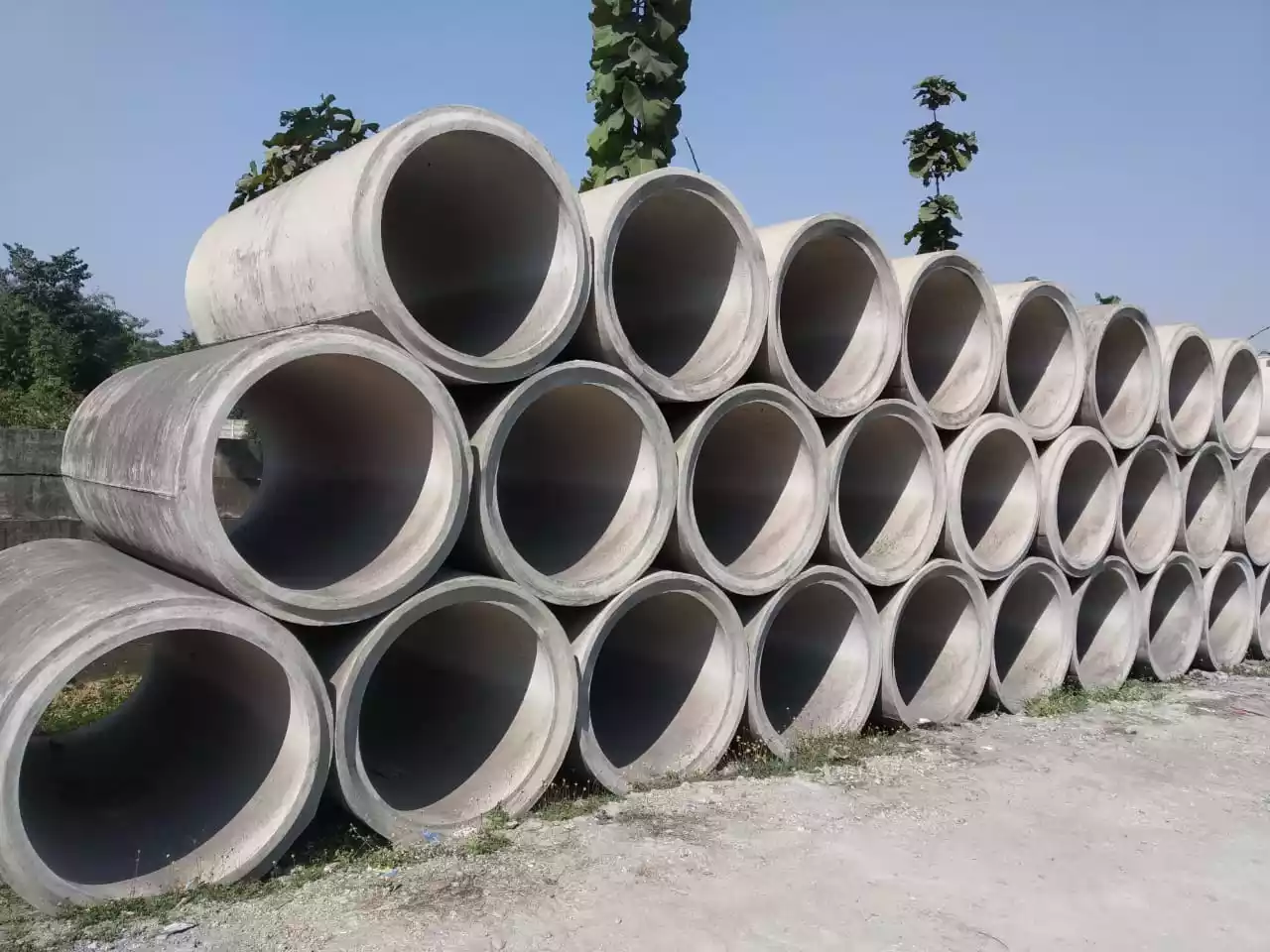 WhatsApp Image 2025-11-25 at 7.37.48 PM